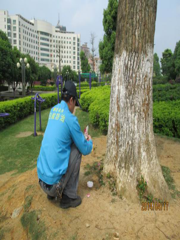 賀州市廣場(chǎng)滅白蟻